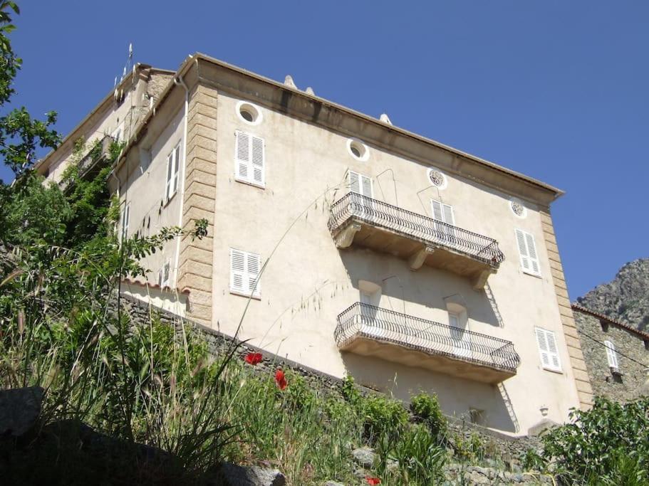 Vos Vacances A Lama France Corse Экстерьер фото