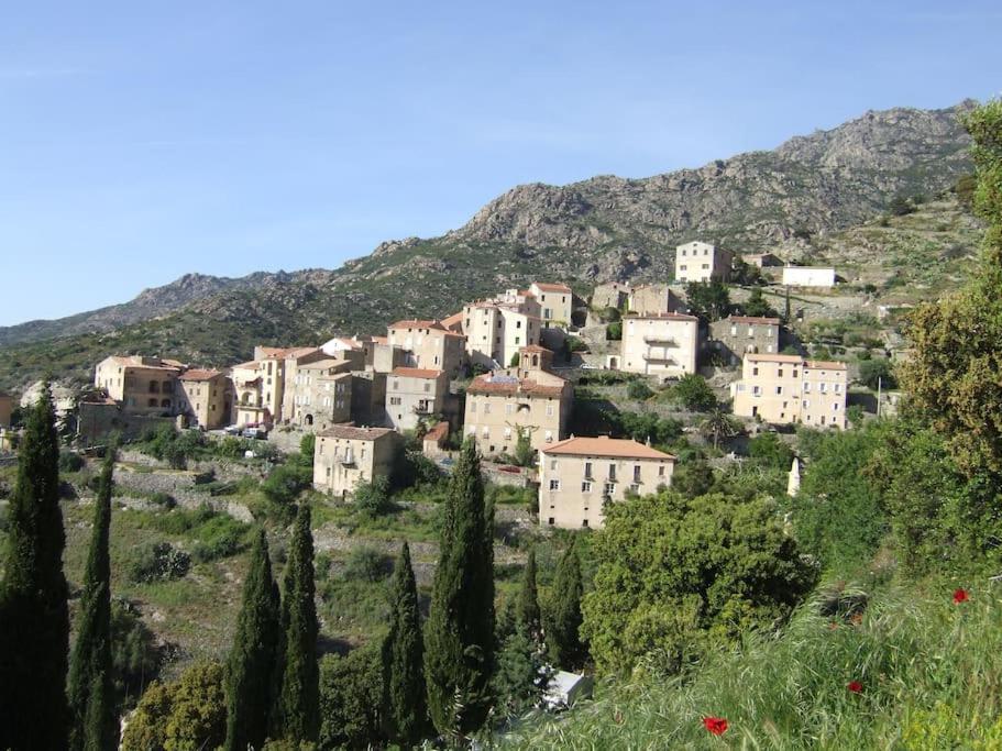 Vos Vacances A Lama France Corse Экстерьер фото