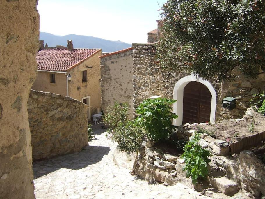 Vos Vacances A Lama France Corse Экстерьер фото