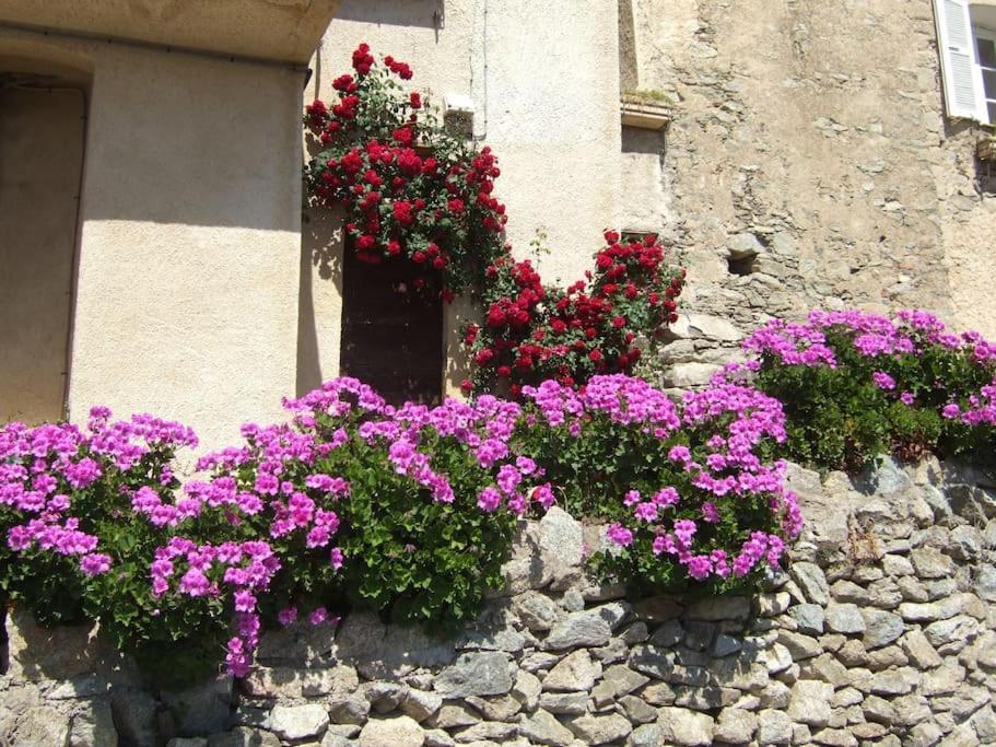 Vos Vacances A Lama France Corse Экстерьер фото
